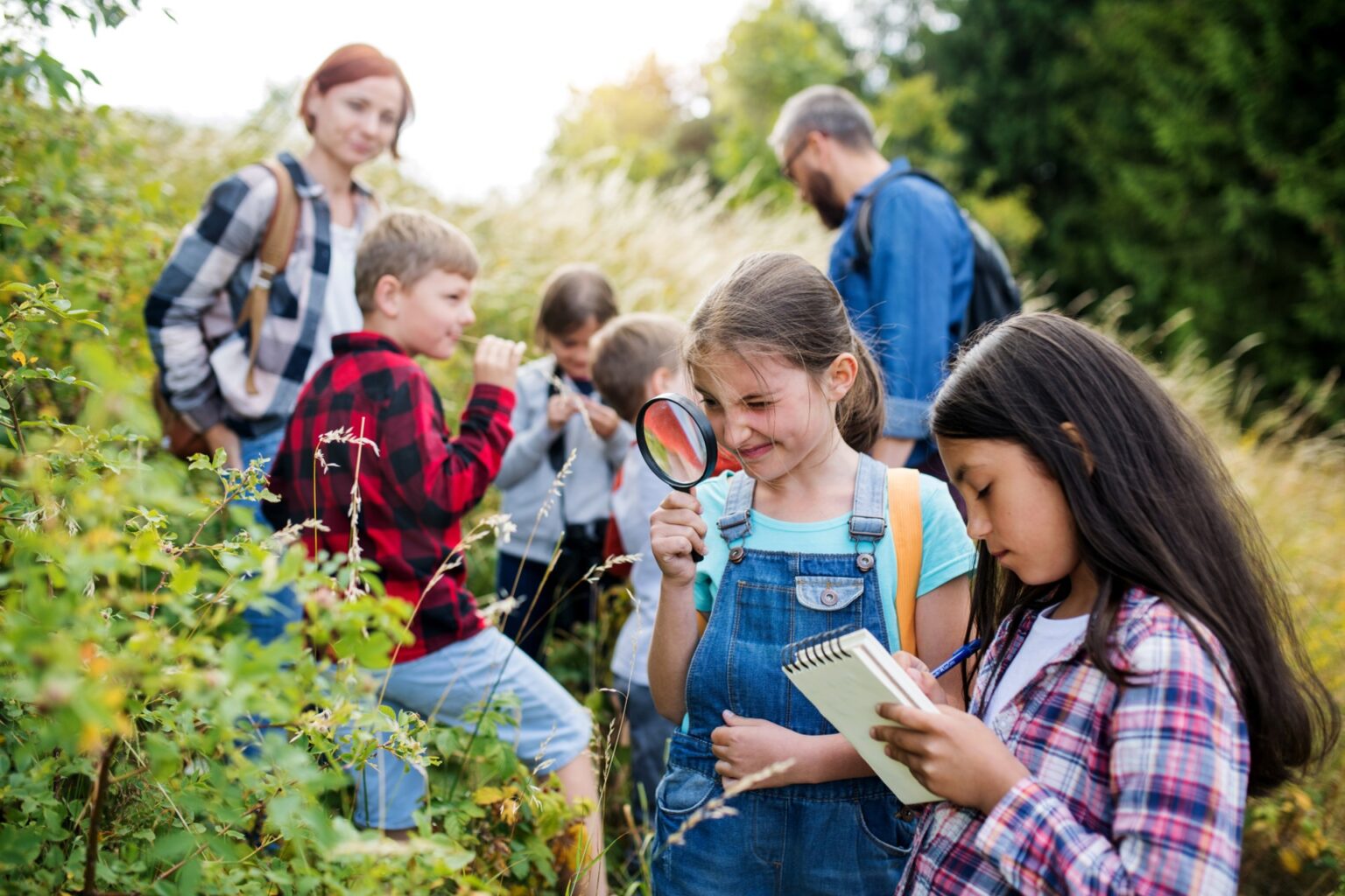 kids at summer camp in the woods looking at nature