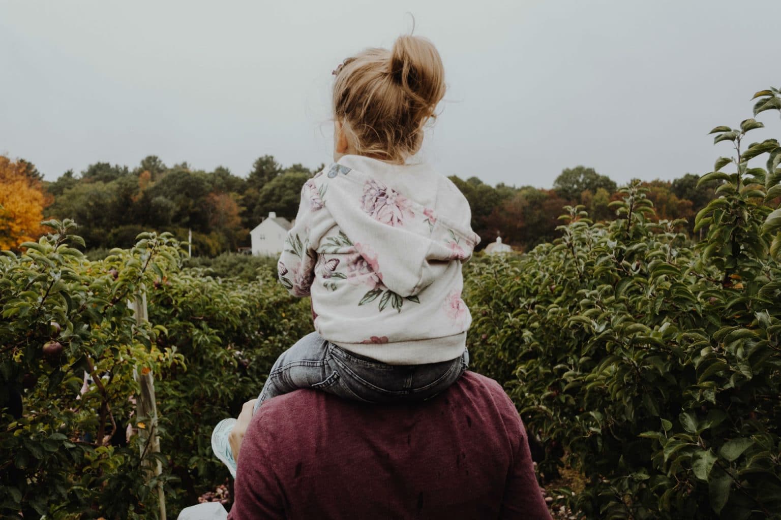 kid on dad's shoulders