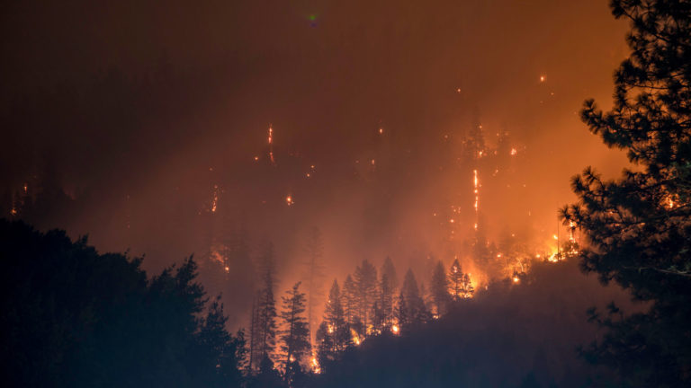 Ruh-roh Gender Reveal Party Caused A Massive Wildfire - Parents Canada