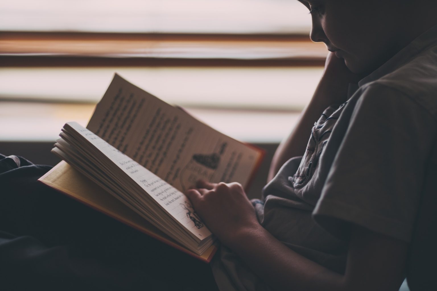 Young boy reading a book