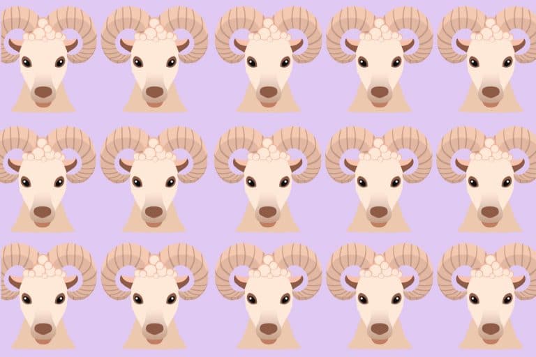 aries ram illustration multiples times on a patterned background