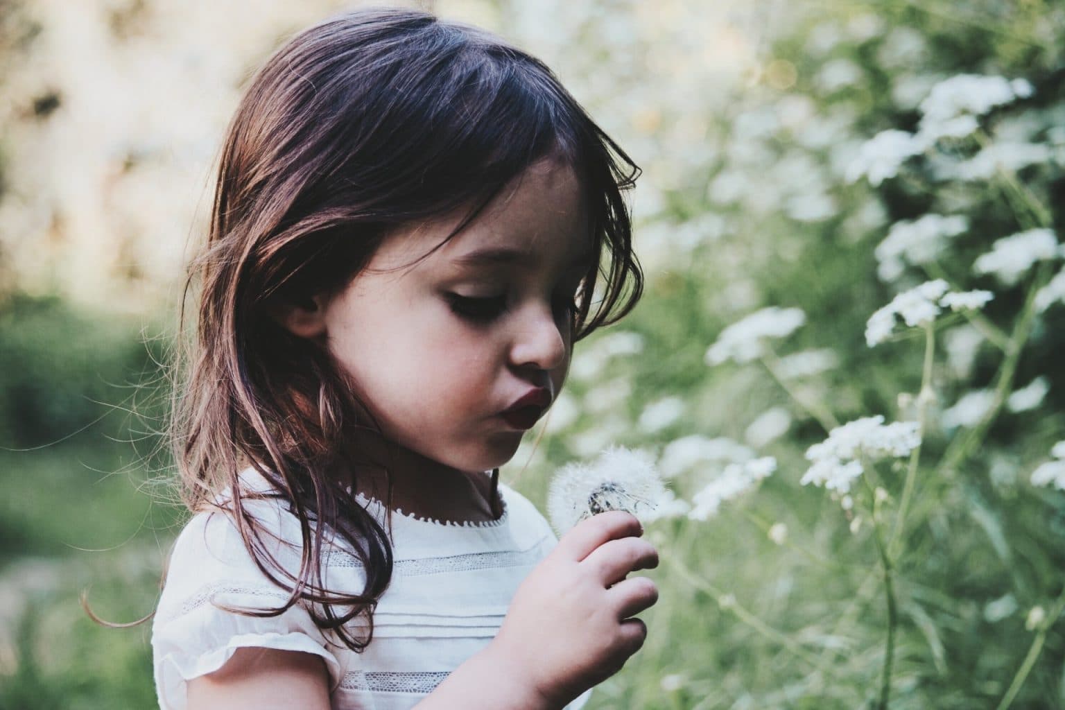 Child with dandelion seeds, illustrating how to know if your child has seasonal allergies