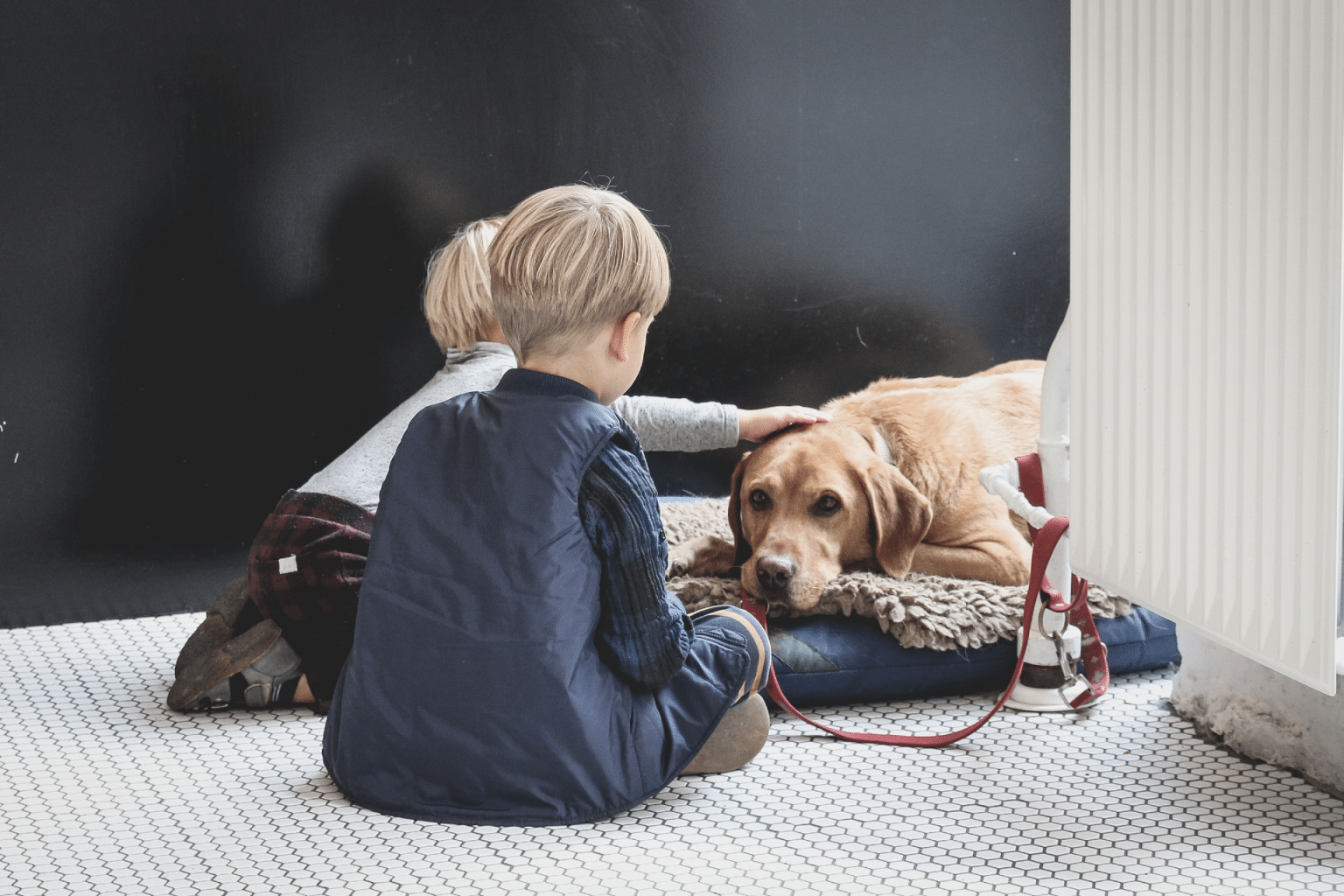 kids with a puppy