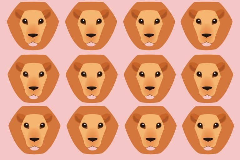 astrology for kids illustrated lions on a pink background to represent Leo zodiac sign