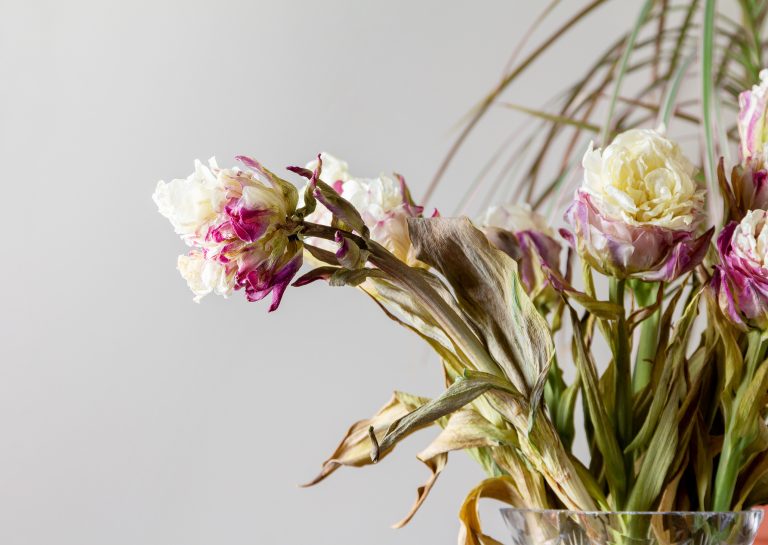 Wilted flowers to show indifference to Mother's Day opt-out emails