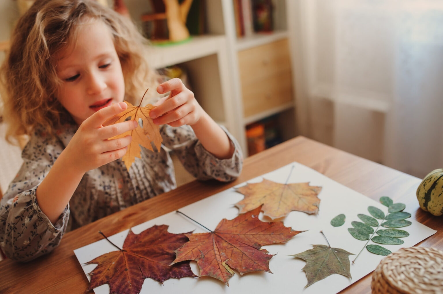 a girl holding a leaf