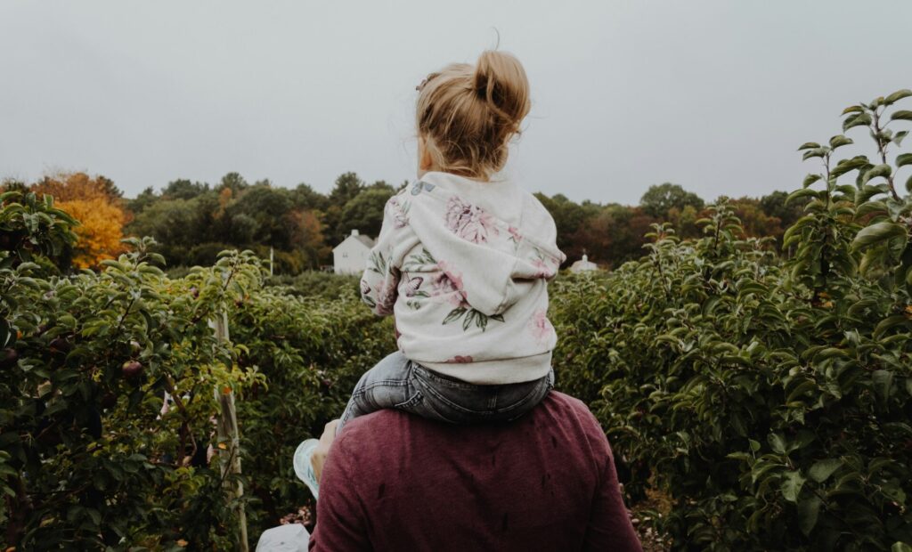 Best Apple picking near Toronto