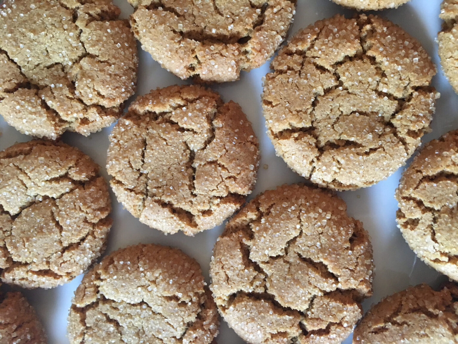 Ginger-molasses ginger crinkle cookies, with coarse sugar