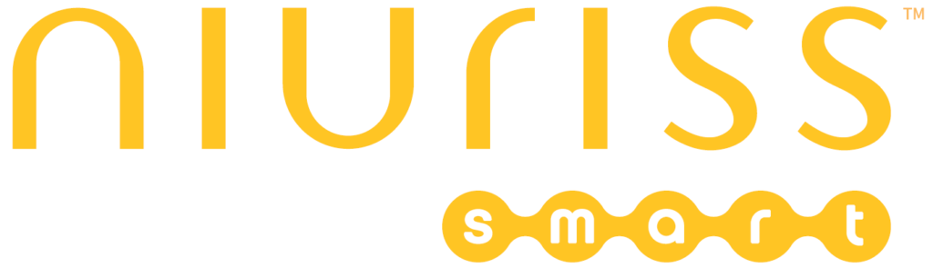 Niuriss Smart Logo